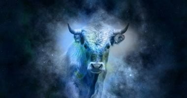 تفسير حلم الثور.. عدوان أم قدرات قوية لديك؟