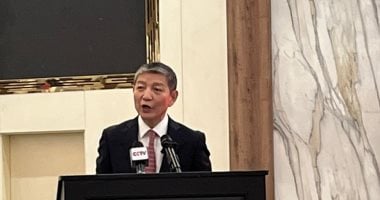 سفير الصين فى القاهرة 