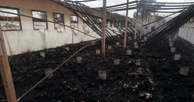 حريق هائل يلتهم مزرعة دواجن بقرية ميت بدر حلاوة بالغربية