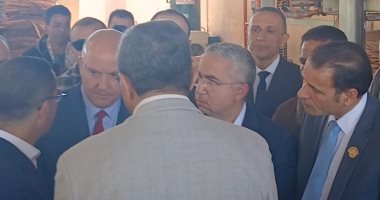 وزير الاستثمار والتجارة يتفقد مصنع ألواح الكونتر بمنطقة قفط.. فيديو
