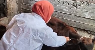 حملة تحصين استثائية لمرض الحمى القلاعية في سوهاج