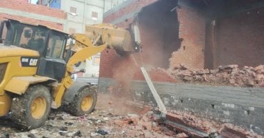 تنفيذ 12 قرار إزالة خلال المرحلة الأولى من الموجة 28 فى الدقهلية