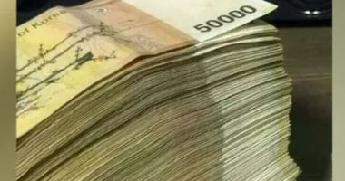 "تحدى الفقر" فى كوريا الجنوبية يشعل موجة غضب وانتقادات اجتماعية