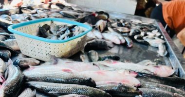 البلطي بـ50 جنيه.. أسعار الأسماك بكفر الشيخ السبت 10 يناير 2026