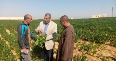 وكيل وزارة الزراعة بأسيوط يتفقد المحاصيل بمركز القوصية