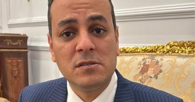 نائب: الاقتصاد القوى يبدأ ببنية تحتية قوية.. ومصر قدمت مردودا إيجابيا