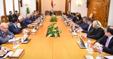 وزير الخارجية يؤكد على الدور المحورى للقطاع الخاص فى تعزيز الشراكات الاقتصادية مع أفريقيا