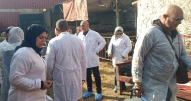 بيطري القليوبية يعلن انطلاق الحملة القومية الاستثنائية للتحصين بلقاح الحمى القلاعية المدمج