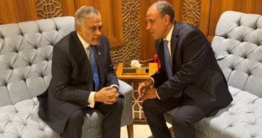 د بدر عبد العاطى وزير الخارجية ونظيره الباكستاني