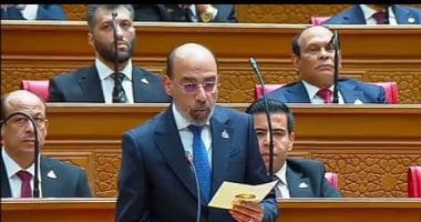  النائب وائل سعدة عضو مجلس النواب