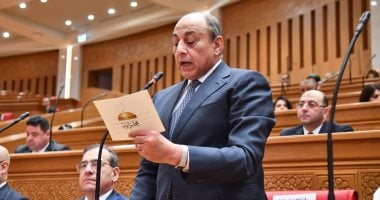  النائب الفريق محمد   عباس حلمى رئيس حزب حماة وطن