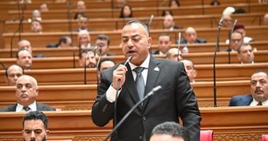 النائب على عبد الونيس يؤدى اليمين الدستورية ويؤكد: دعم الوطن والمواطن أولوية