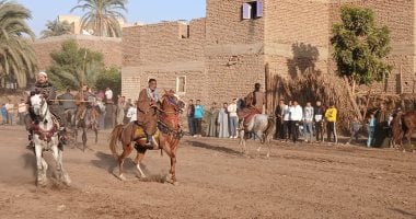 فروسية وليالى ذكر.. مولد الشيخ وافى بقنا يجمع الأهالى والخيالة 7 أيام (صور)