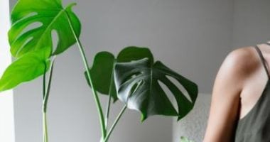 تقليل التوتر وزيادة التركيز.. تعرف على فوائد العناية بالنباتات