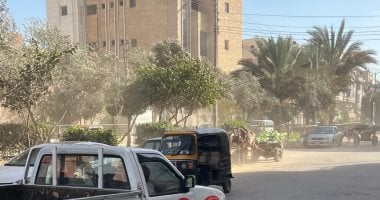 رياح محملة بالأتربة وهواء بارد على محافظة الدقهلية.. اعرف التفاصيل