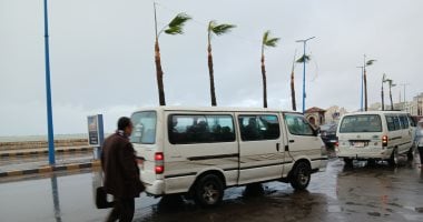 الجو قلب فجأة في الإسكندرية أمطار ورياح شديدة.. فيديو