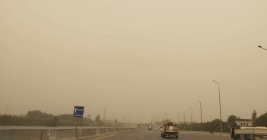 احذروا الأشجار واللافتات.. رياح شديدة مثيرة للأتربة تضرب القليوبية.. فيديو