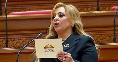  النائبة هبة غالي عضو مجلس النواب