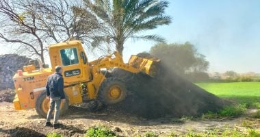 إزالة 31 مكمورة فحم نباتي بالدقهلية خلال حملة من البيئة