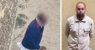 اعتداء على الجيران في الجيزة بسبب إطعام الكلاب الضالة.. الداخلية تكشف التفاصيل