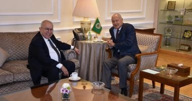 أبو الغيط يبحث فرص وقف الحرب في السودان مع المبعوث الأممي