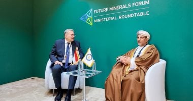 بدوى: إطلاق أول مسح جوي للثروات المعدنية منذ 40 عاما لتحديث البيانات الجيولوجية