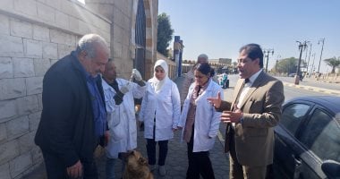 بيطرى الأقصر تحصن الكلاب الحرة في ساحة أبو الحجاج وطريق الكباش.. صور
