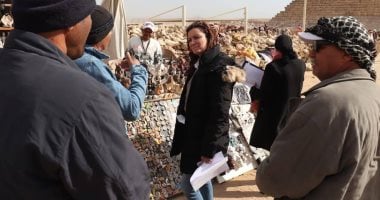 نائب محافظ الجيزة تتفقد طاولات البائعين بالمنطقة الأثرية لأهرامات الجيزة
