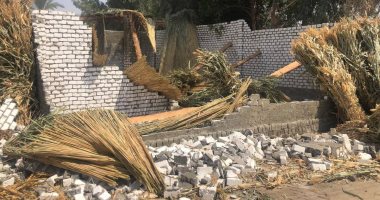 إزالة 4 حالات تعد على الأراضى الزراعية بمركزى طما وأخميم فى سوهاج