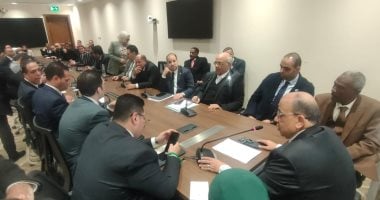 اللواء محمود شعراوى رئيسا للجنة الإدارة المحلية والفيومى والداجن وكيلان