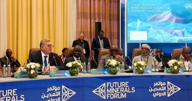 وزير البترول: مصر تشجع الاستثمار المشترك في الصناعات التعدينية