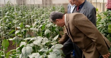 نائب رئيس جامعة بنها يتفقد الوحدات الإنتاجية بكلية الزراعة بمشتهر.. صور