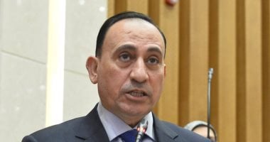 وكيل لجنة الاقتراحات والشكاوى بمجلس النواب: هدفنا مصلحة المواطنين