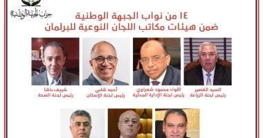 14 نائبا من الجبهة الوطنية ضمن هيئات مكاتب اللجان النوعية لمجلس النواب