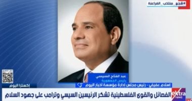 إسلام عفيفى: جهود مصر بقيادة الرئيس السيسى ركيزة لحماية القضية الفلسطينية