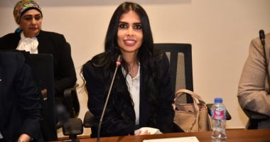 وكيلة لجنة العلاقات الخارجية: البرلمان شريك أساسي في دعم حقوق المصريين بالخارج