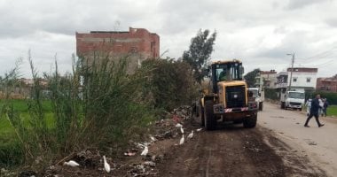 حملة نظافة ورفع 340 طن تجمعات قمامة بقرية دميرة مركز طلخا