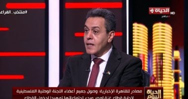 صلاح عبد العاطي: الرؤية المصرية فرضت لجنة الإسناد لقطع الطريق على مخططات التهجير