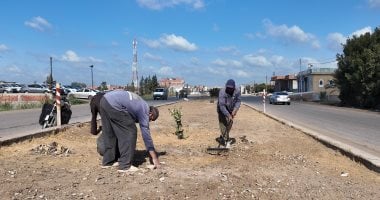 حملات نظافة وزراعة أشجار بمدخل كفر الشيخ من الكوبرى الأزرق حتى مدخل عزبة أبو عمر