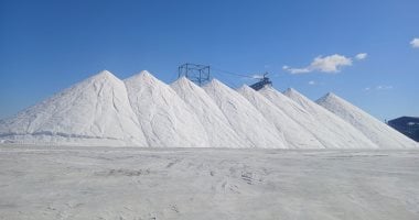 النصر للملاحات تصدر أكبر شحنة ملح فى تاريخها من ميناء العريش.. تطور كبير في ربحية "سبيكة" 