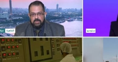 خبير: تعبئة مؤيدى النظام كانت أداة حاسمة فى احتواء احتجاجات إيران