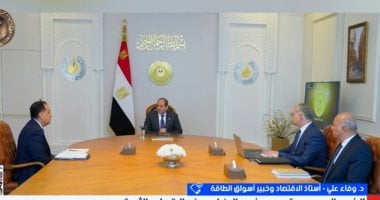 أستاذة اقتصاد: مصر تعتمد نهجا تكتيكيا لتحفيز استثمارات قطاع الطاقة