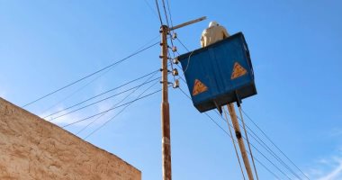 تركيب كشافات إنارة في شوارع قرية الرزيقات بحري بالأقصر.. اعرف التفاصيل