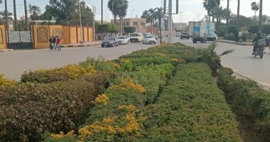 شمس ساطعة وهبوب رياح وانتظام حركة الملاحة.. شاهد حالة الطقس بكفر الشيخ