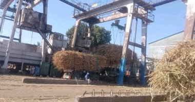 قنا تستعد لاستقبال موسم الخير.. مصانع السكر جاهزة لاستقبال المحصول.. 35% من إنتاج مصر يخرج من 120 ألف فدان بأرض المحافظة.. ومصانع قوص ودشنا ونجع حمادي تنتج 3 مليون طن خام سنويا.. صور