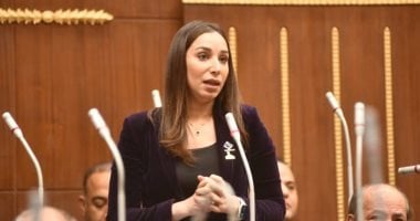 النائبة حنان وجدى: تغير المناخ من أخطر القضايا المؤثرة على الاقتصاد القومى