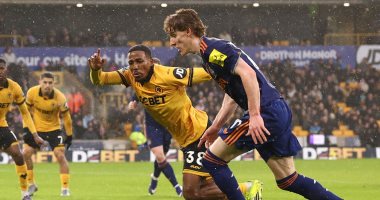 التعادل السلبي يحسم مباراة وولفرهامبتون ضد نيوكاسل فى الدوري الإنجليزي