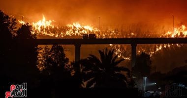 جنوب تشيلى يشتعل.. حرائق غابات تلتهم المنازل وتُجبر الآلاف على الإخلاء