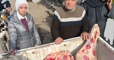 ضبط 5.5 طن لحوم ودواجن وأسماك غير صالحة للاستهلاك الآدمى فى المنوفية