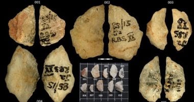 اكتشاف أقدم سم فى العالم على رؤوس سهام عمرها 60 ألف عام
